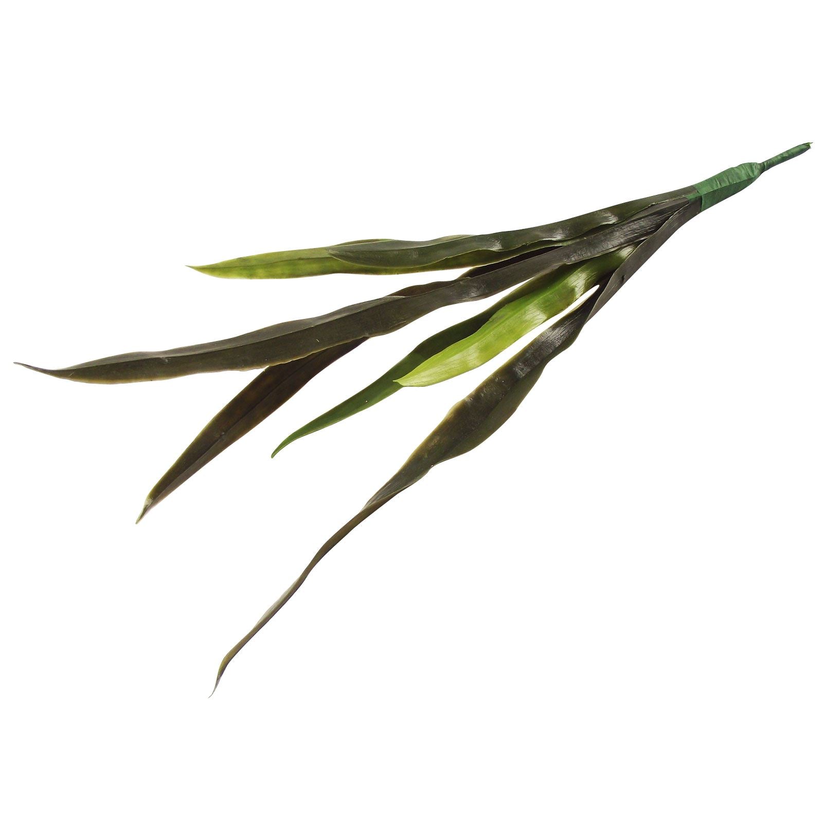 Long Leaf Blade Spray
