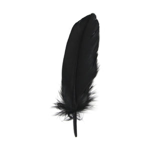 Large 5 Inch Goose Feathers