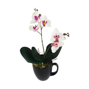 Mini Cuchi Orchid Spray