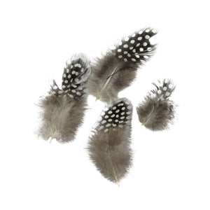 Spotted Guinea Fowl Feathers