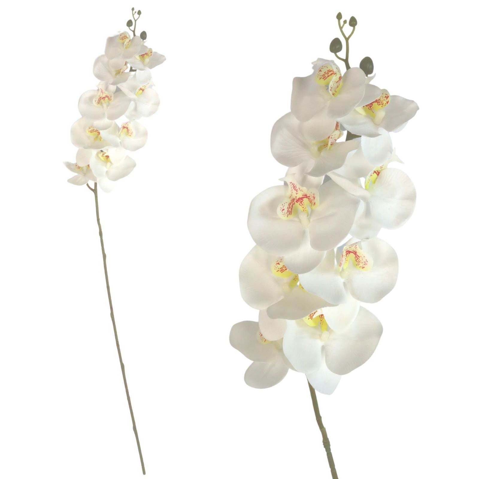 Luxury Single Ivory Orchid