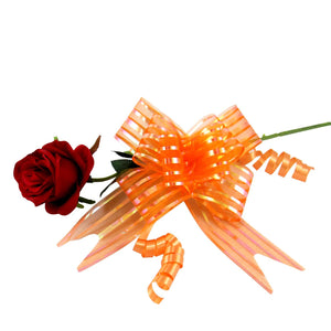 Giant 50mm Organza Butterfly Pull Bows