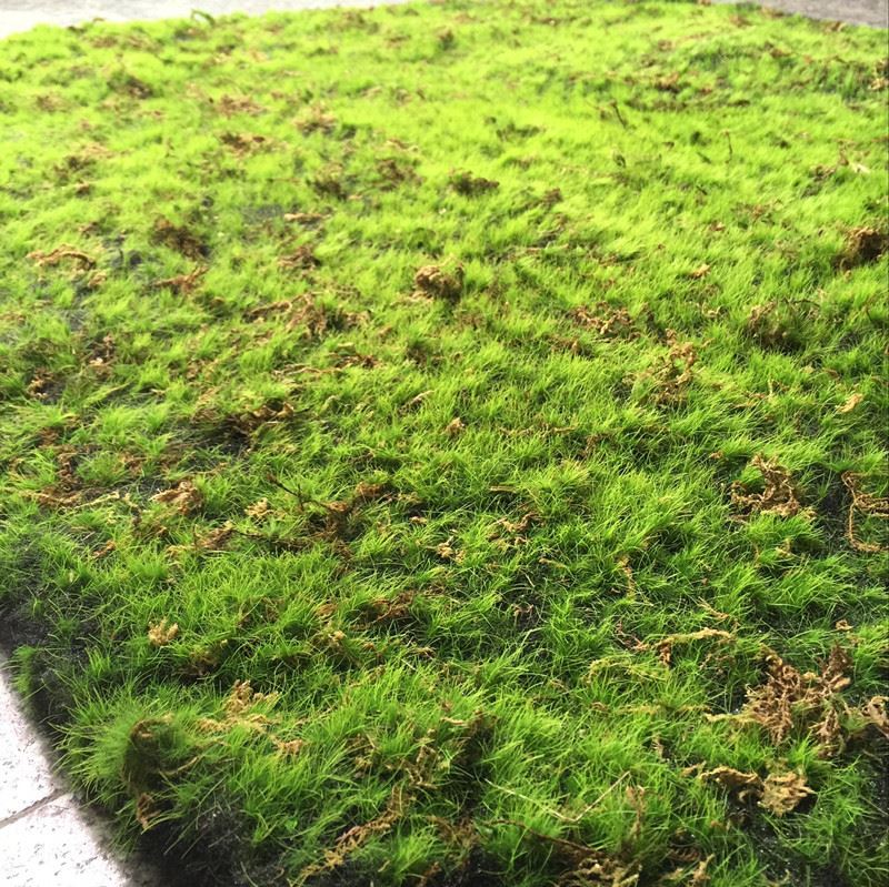 Deluxe Artificial Moss Mat