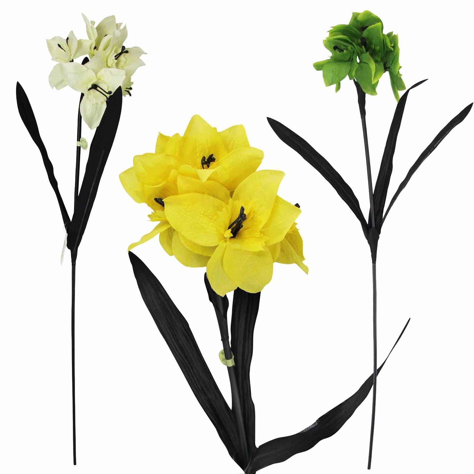Tazetta Daffodil Stems