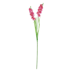 Two Headed Long Orchid Spray