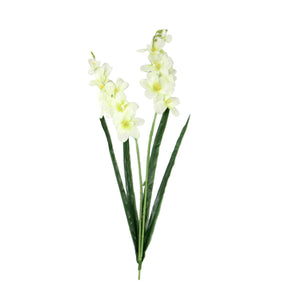 Double Stemmed Water Orchid Spray