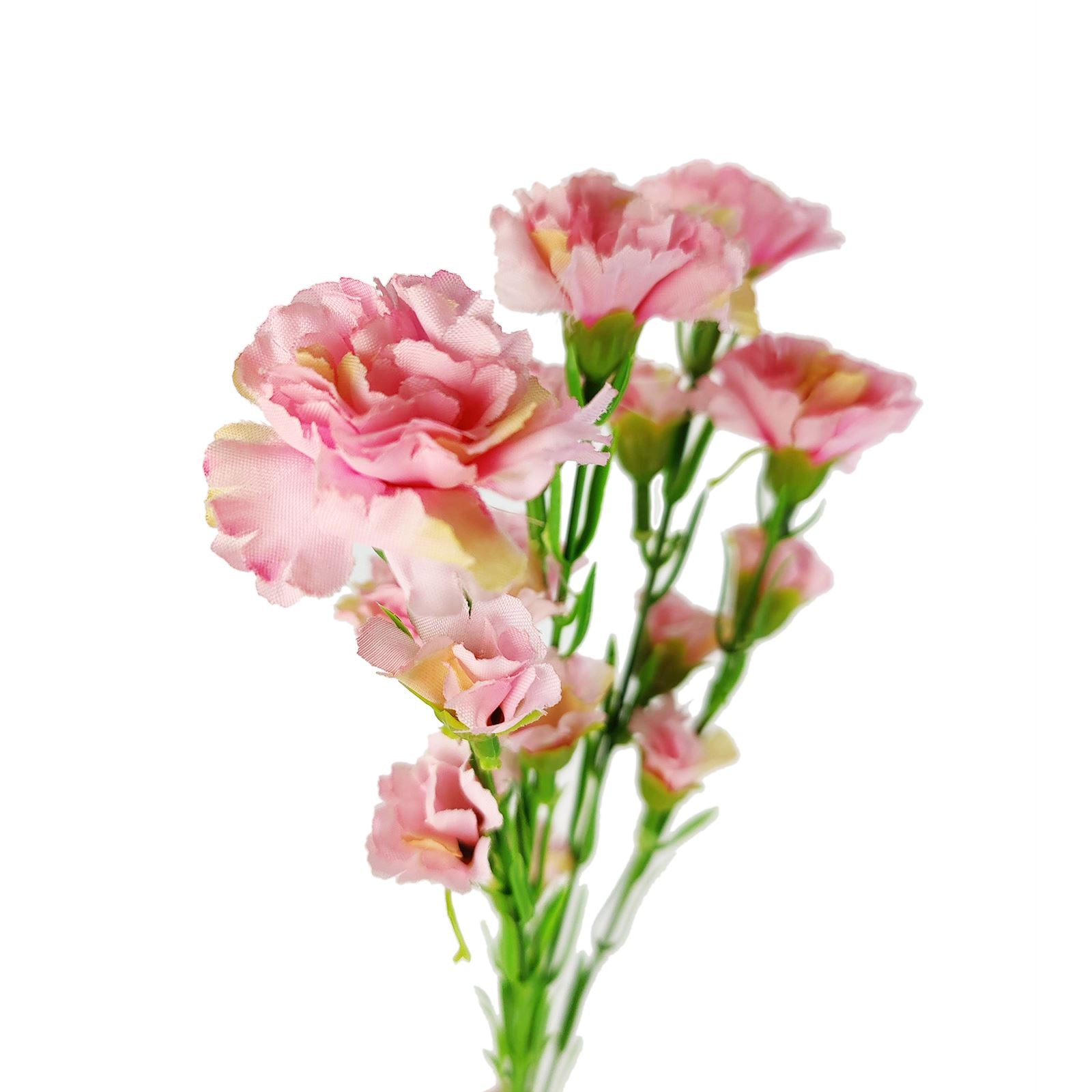 Carnation Spray