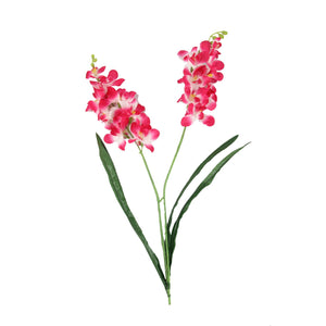 Double Stemmed Water Orchid Spray