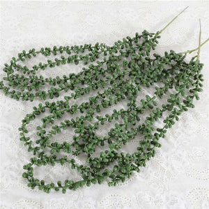 2x Trailing String Of Pearls Stems