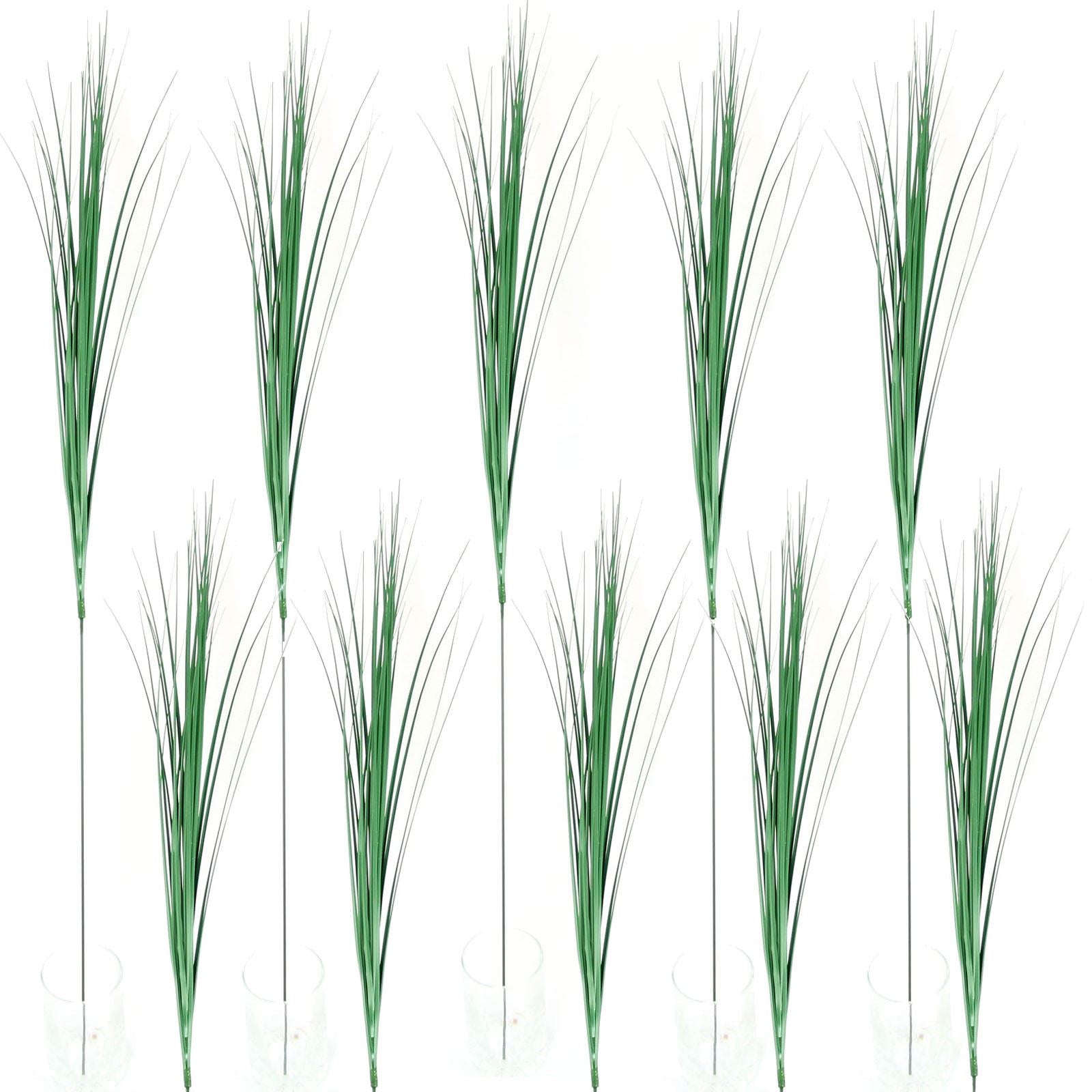 Bear Grass Spray