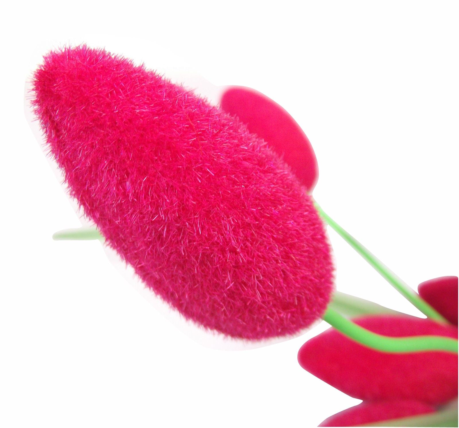 Hairy Fruit Flower Spray