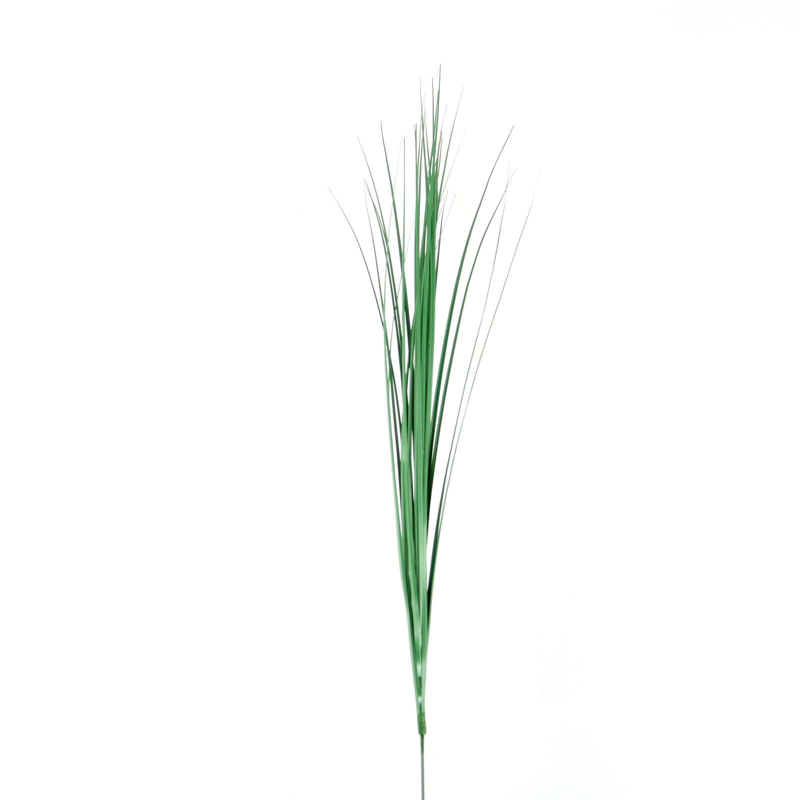 Bear Grass Spray