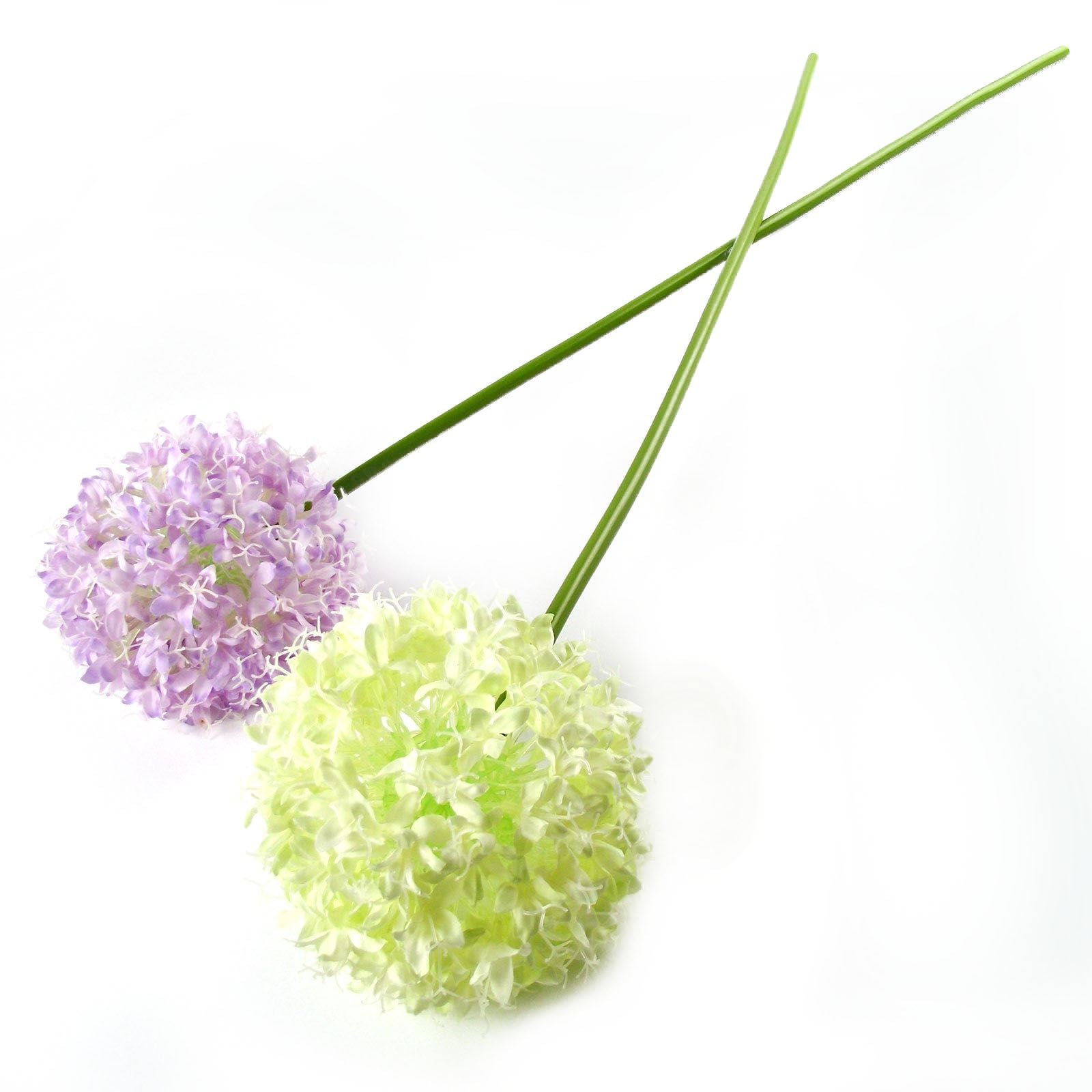 Single Large Allium Stem