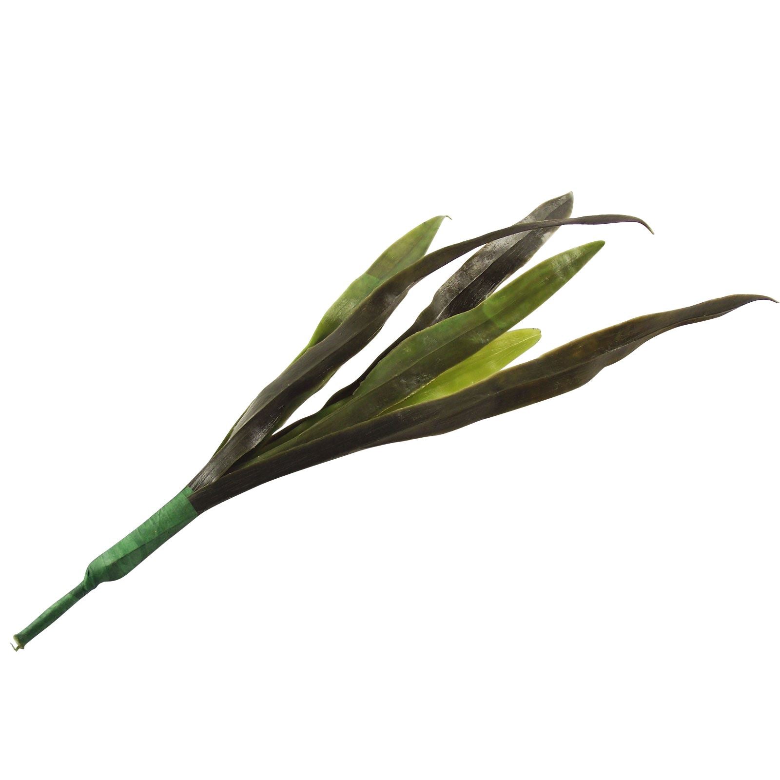 Long Leaf Blade Spray