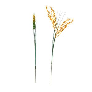 Artificial Wheat and Barley Germ Stems