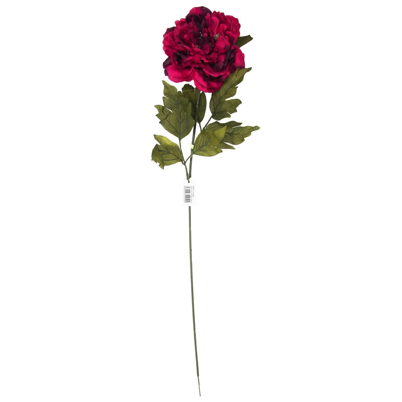 Single Large Open Peony