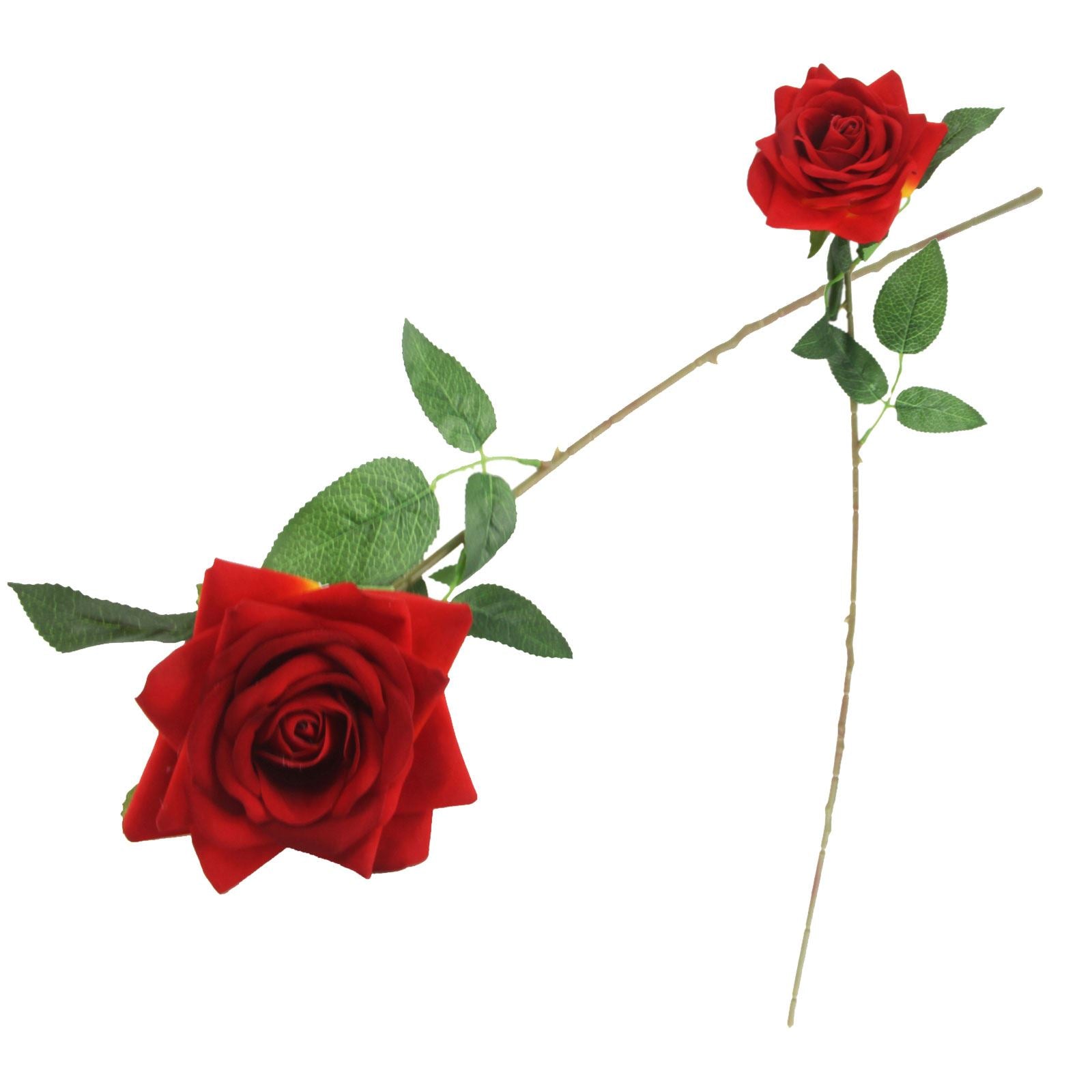 Premium Open Velvet Rose