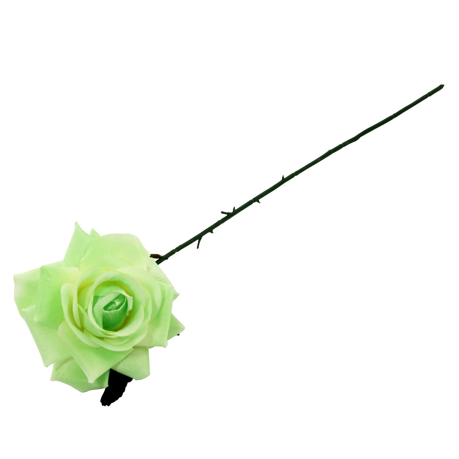 Large Plastic Premium Open Rose