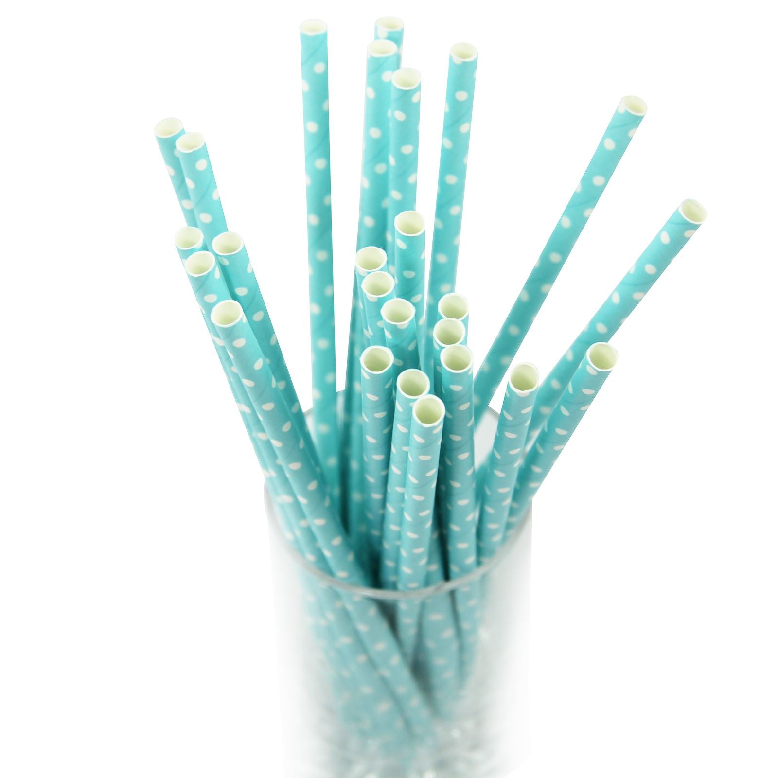 Wholesale 250x Polkadot Paper Straws