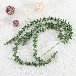2x Trailing String Of Pearls Stems