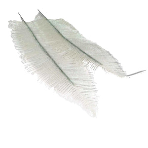 2x Large Heavy Glittered Spiky Feather Leaf