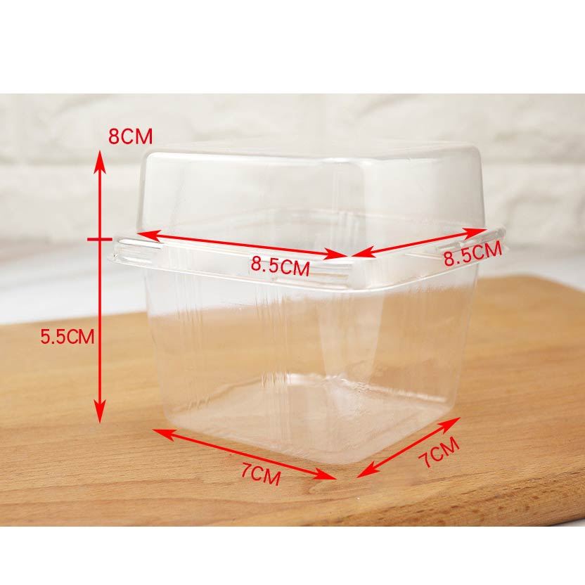 Fruit Salad and Dessert Containers with Lids