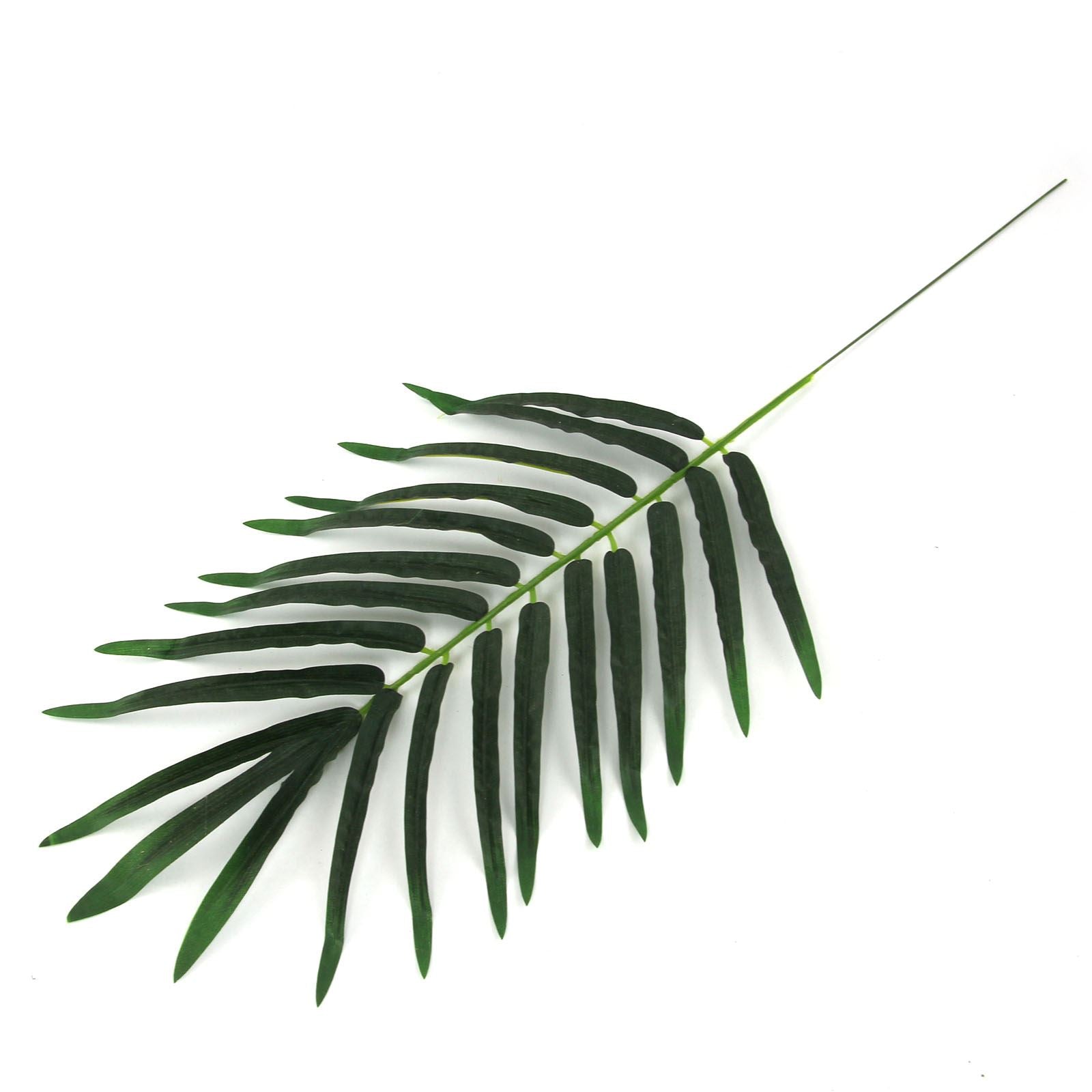 Medium Date Palm Leaf
