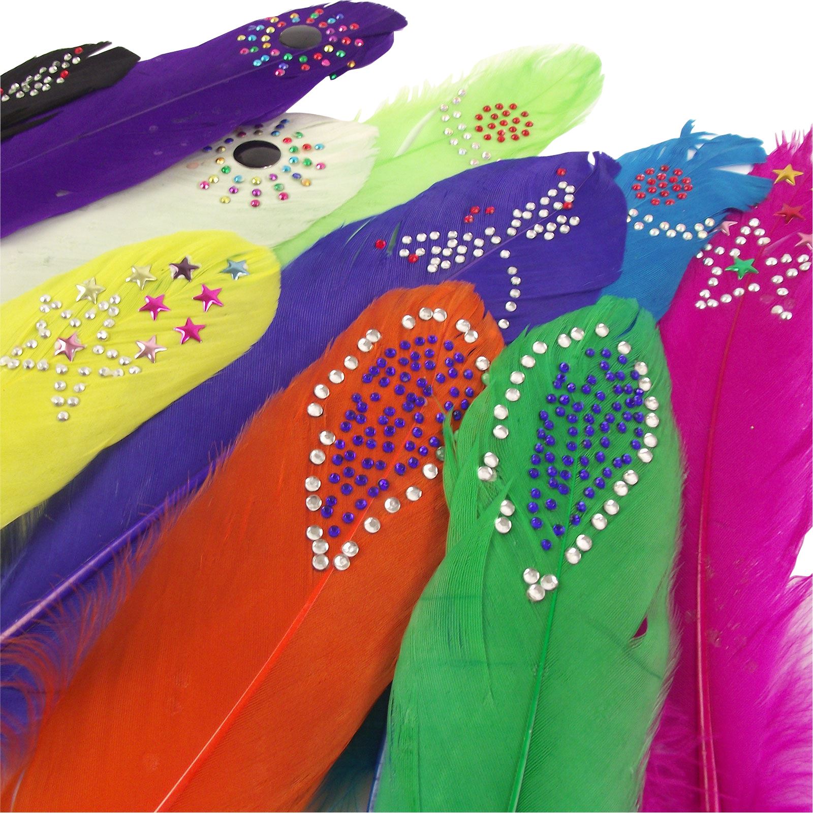 Diamante Studded Long Feathers