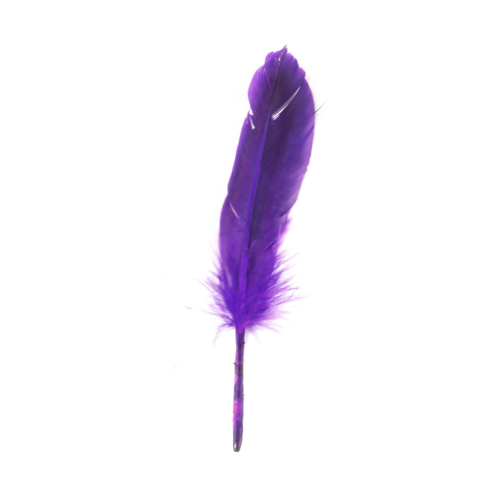 Two Toned Feathers