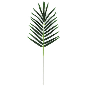 Medium Date Palm Leaf