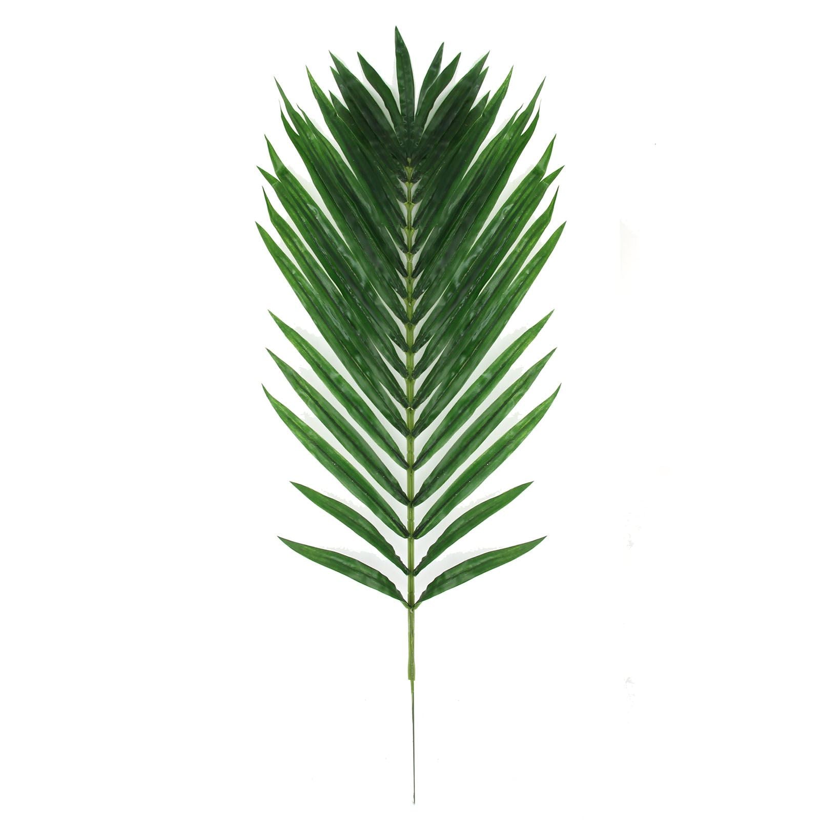 XL Premium Date Palm Leaf