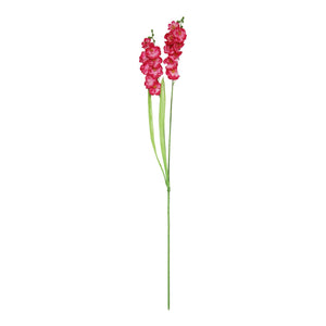 Two Headed Long Orchid Spray