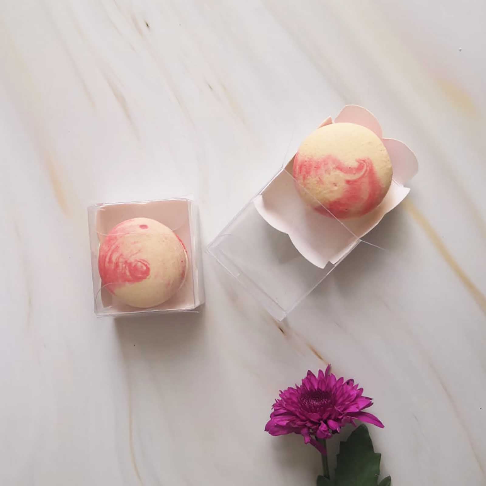 Long Clear PVC Macaron Boxes with Inserts