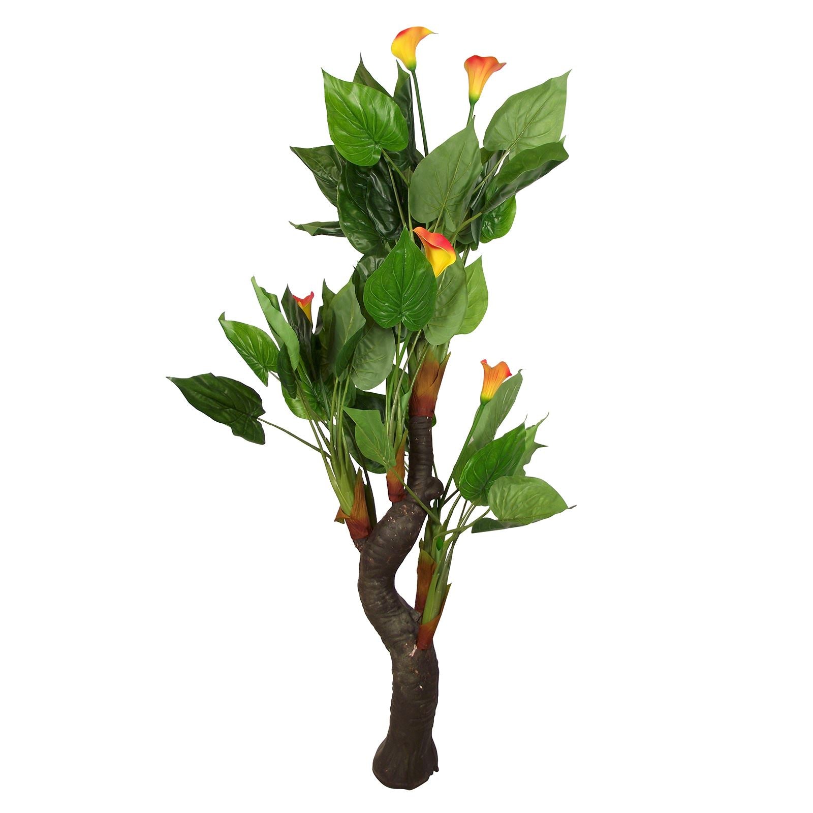 Large Tropical Calla Lily Tree