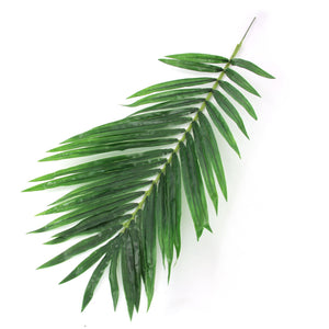XL Premium Date Palm Leaf