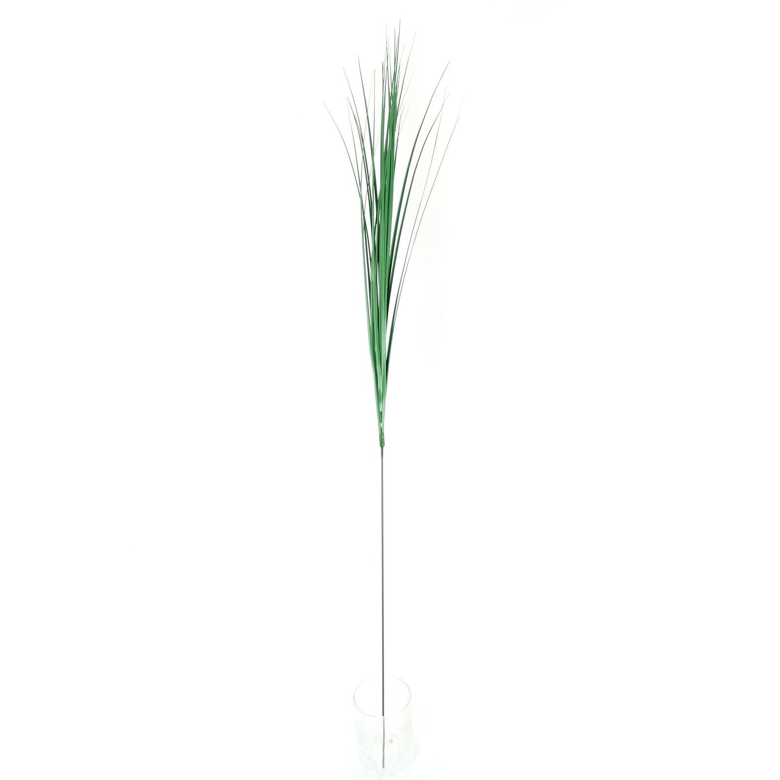 Bear Grass Spray
