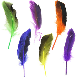 Two Toned Feathers