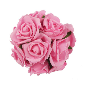 70 Colourfast Roses Variety Pack
