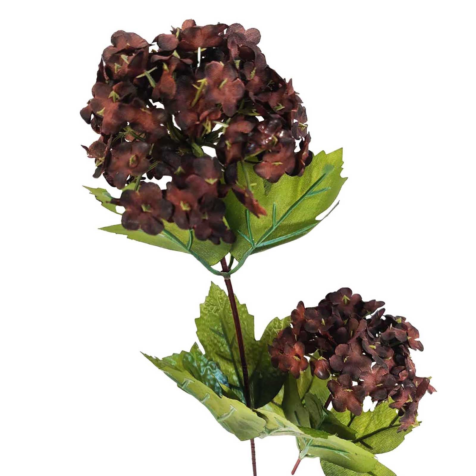 Snowball Hydrangea Flower