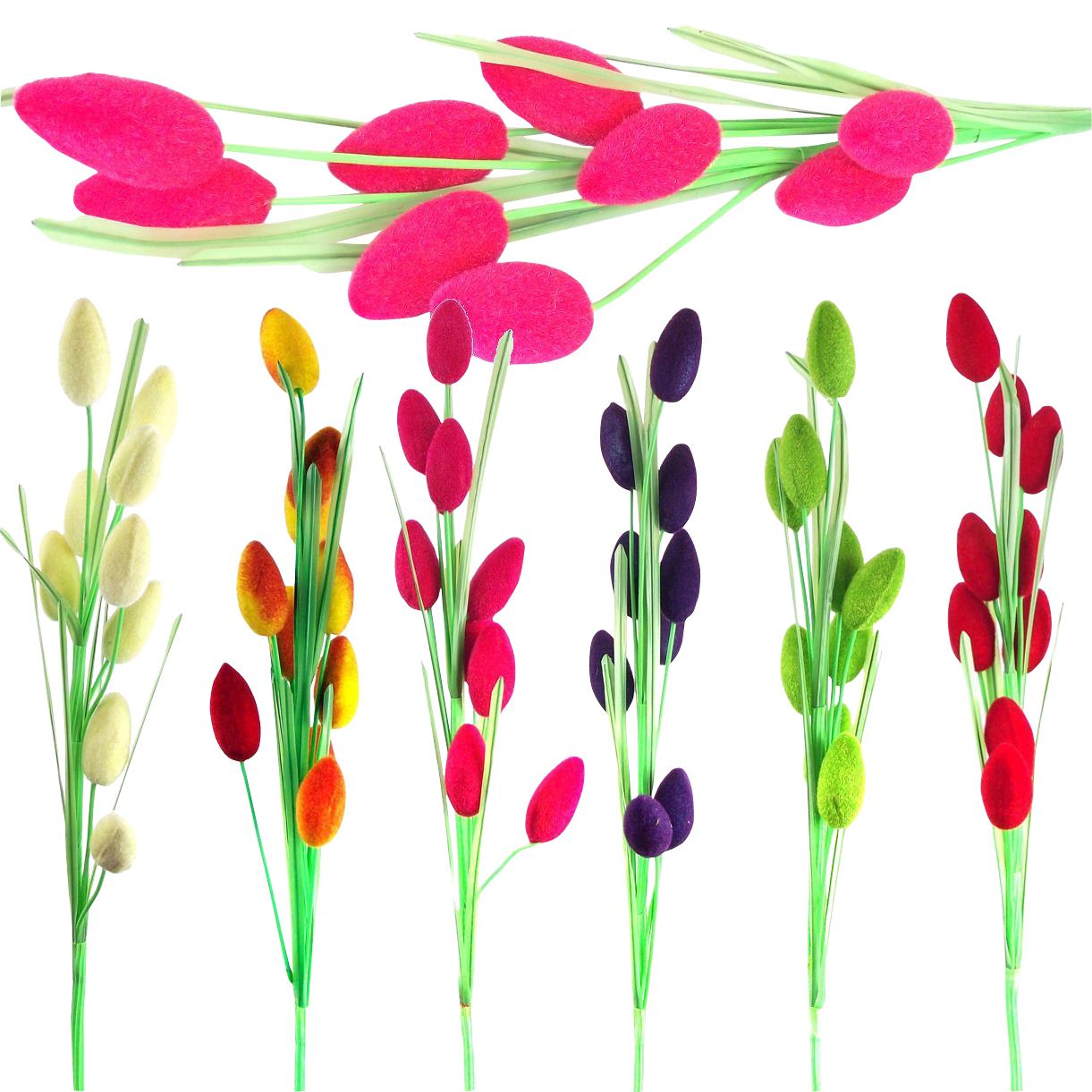 Hairy Fruit Flower Spray