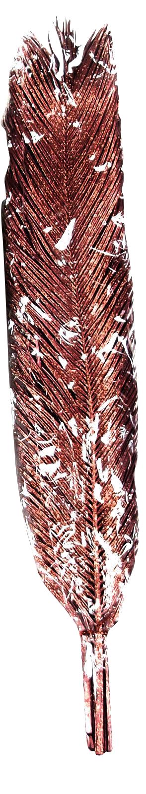 XL Glittered Dry Palm Leaves