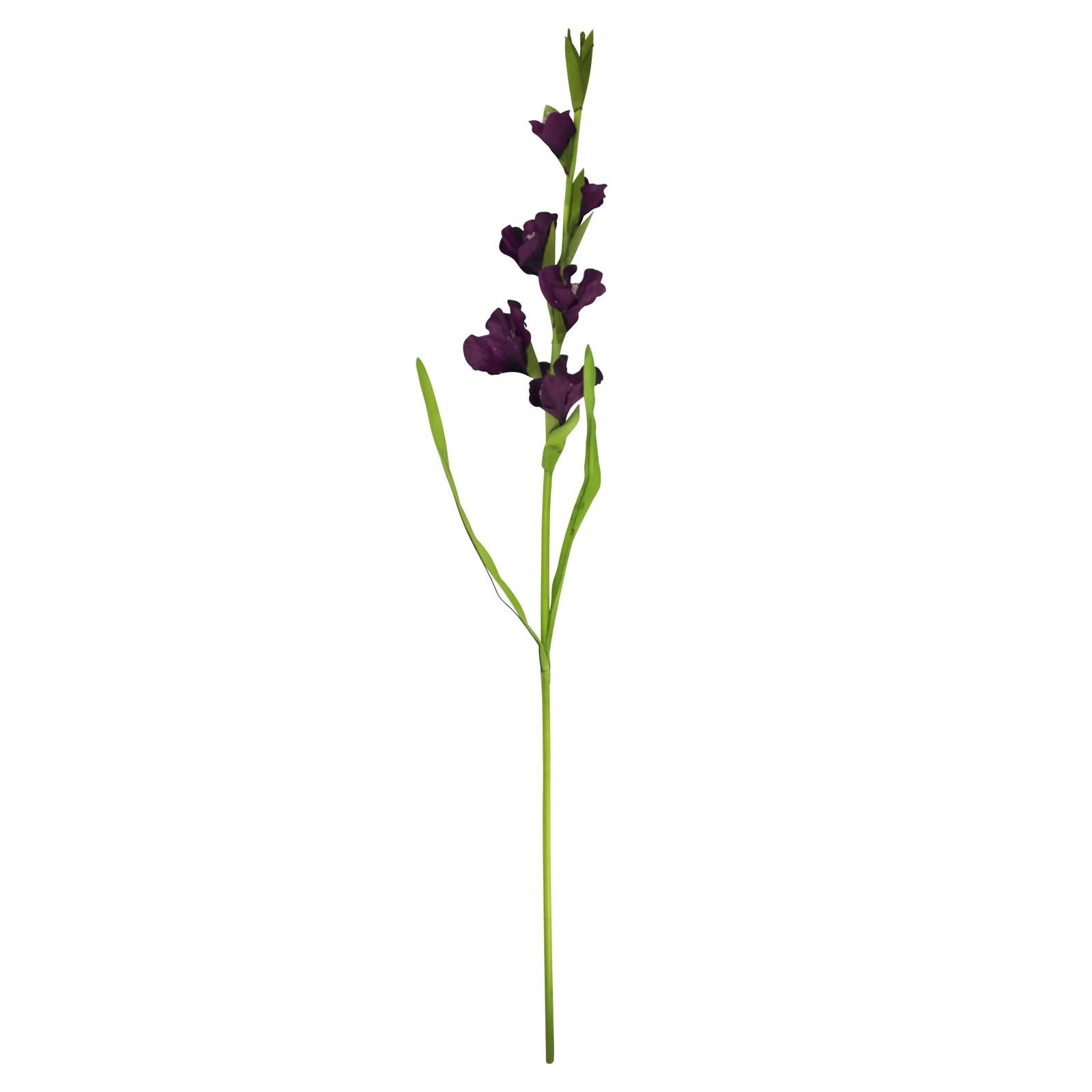 Box of 12 Gladiolus Stem - Purple