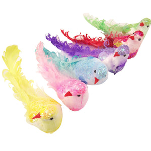 6x Large Feather Tailed Tropical Birds