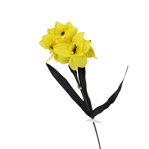 Tazetta Daffodil Stems