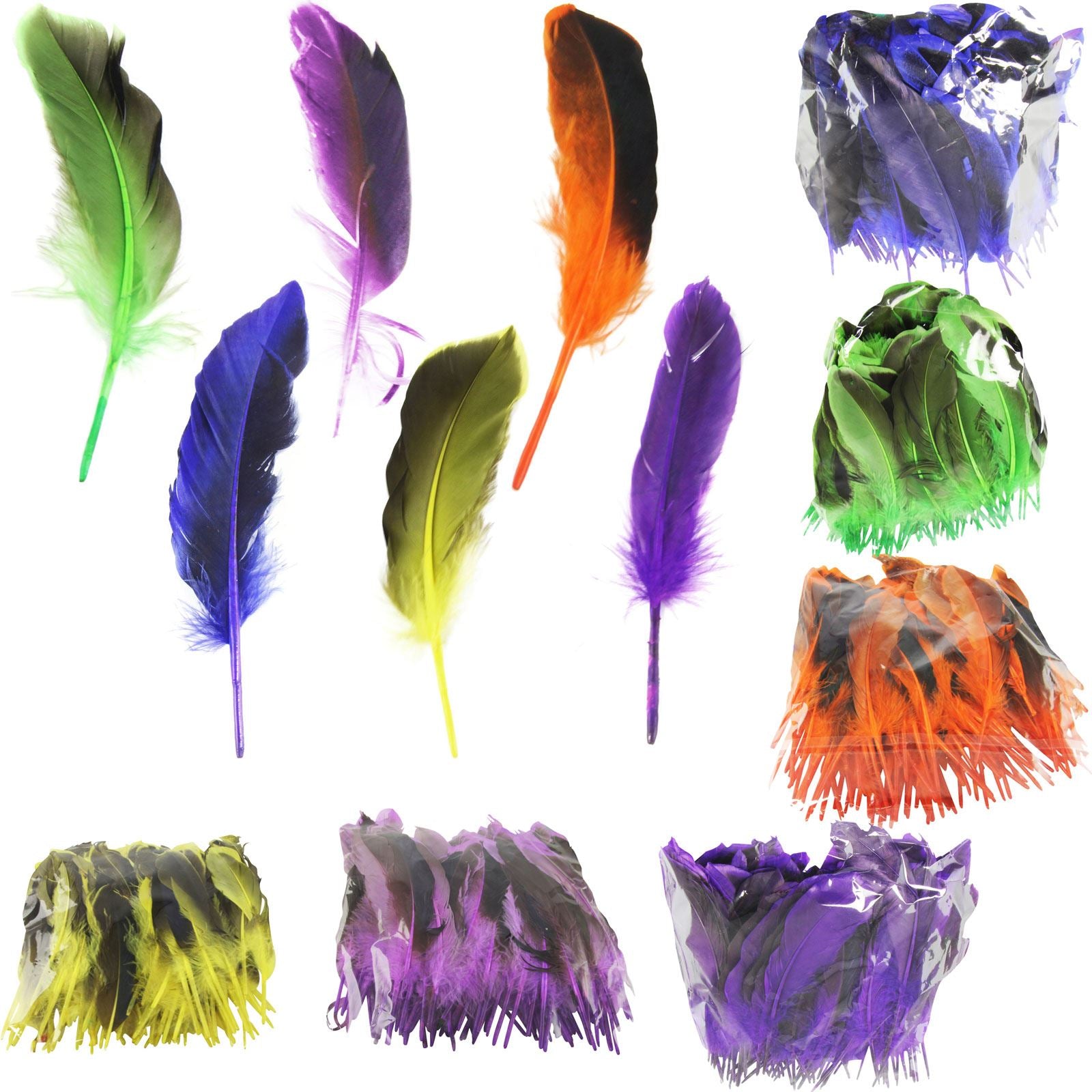 Two Toned Feathers