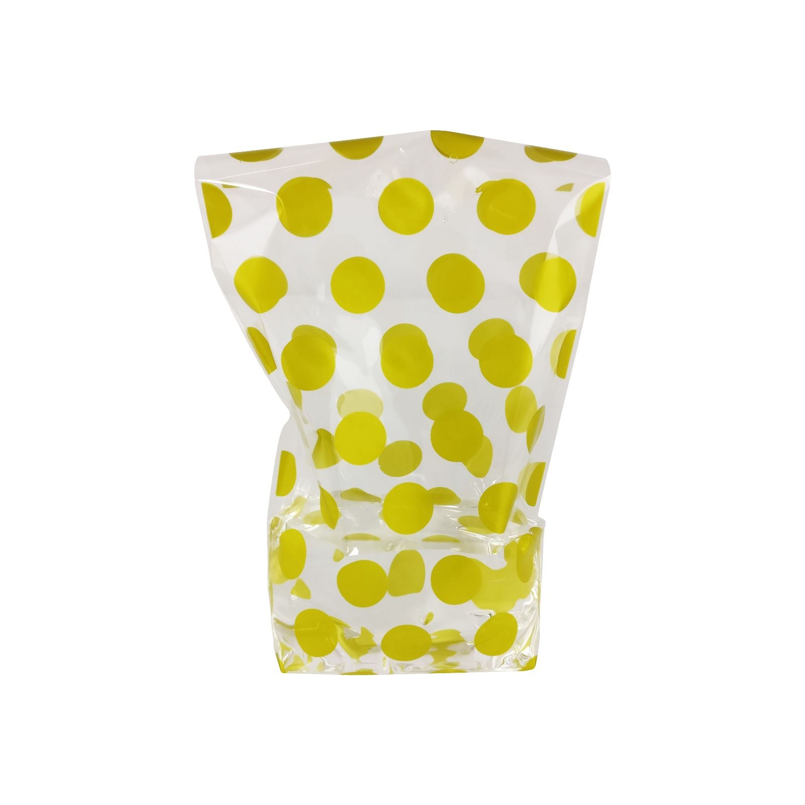 Gold and Silver Polkadot Clear Bags
