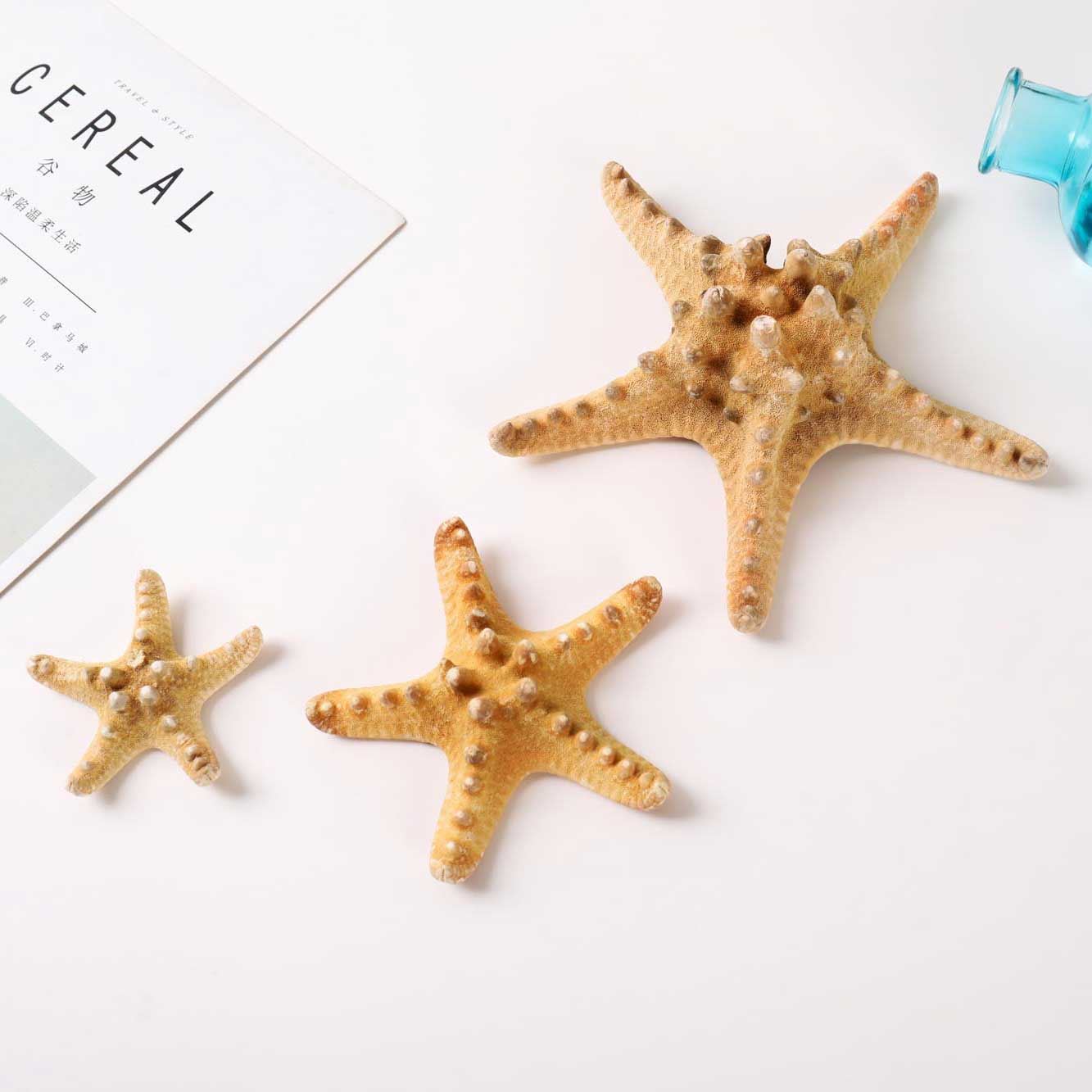 Natural Dried Starfish - Seastars Sea Stars Fish Shells