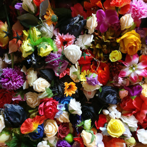 Assorted Flower Heads
