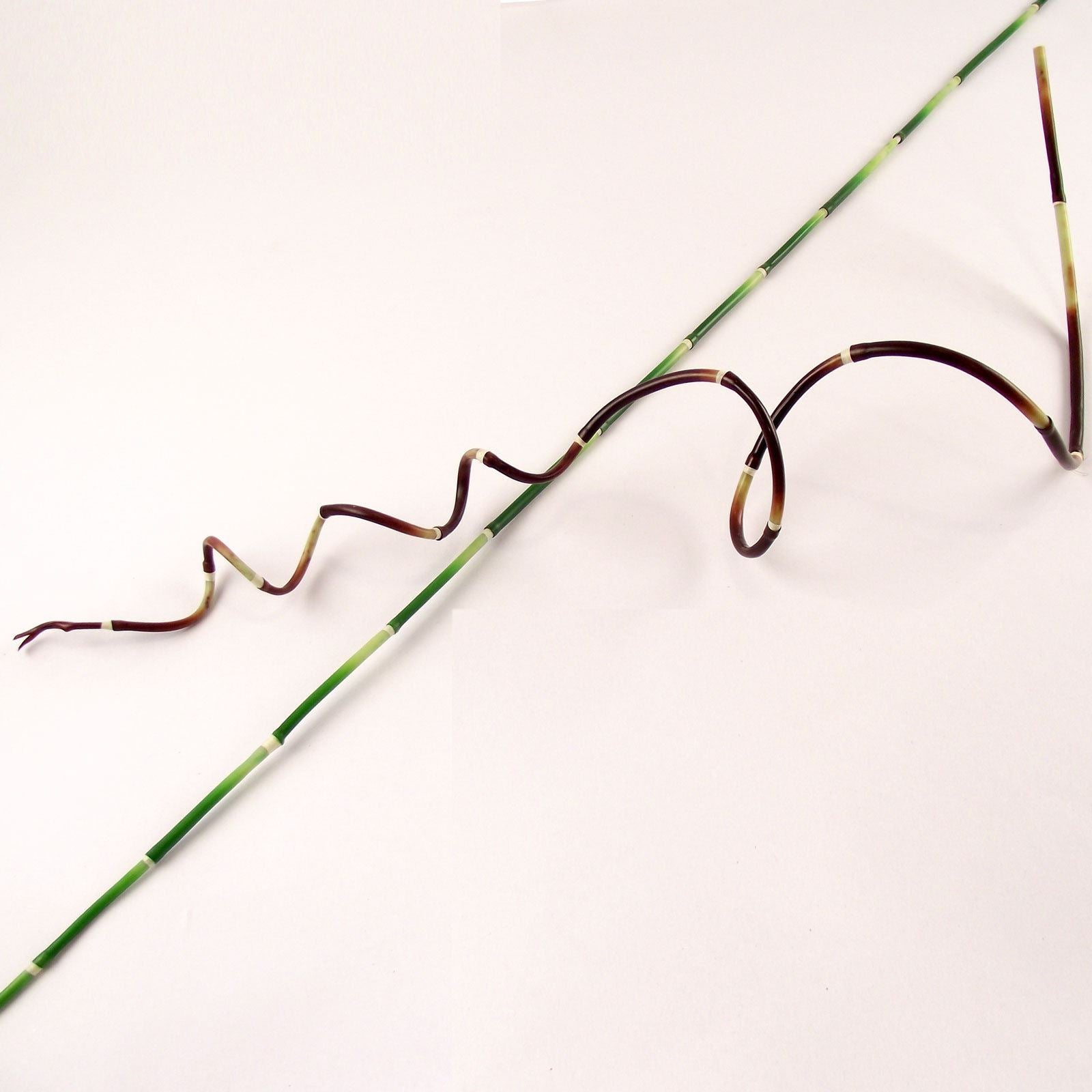 110cm Skinny Bamboo Cane