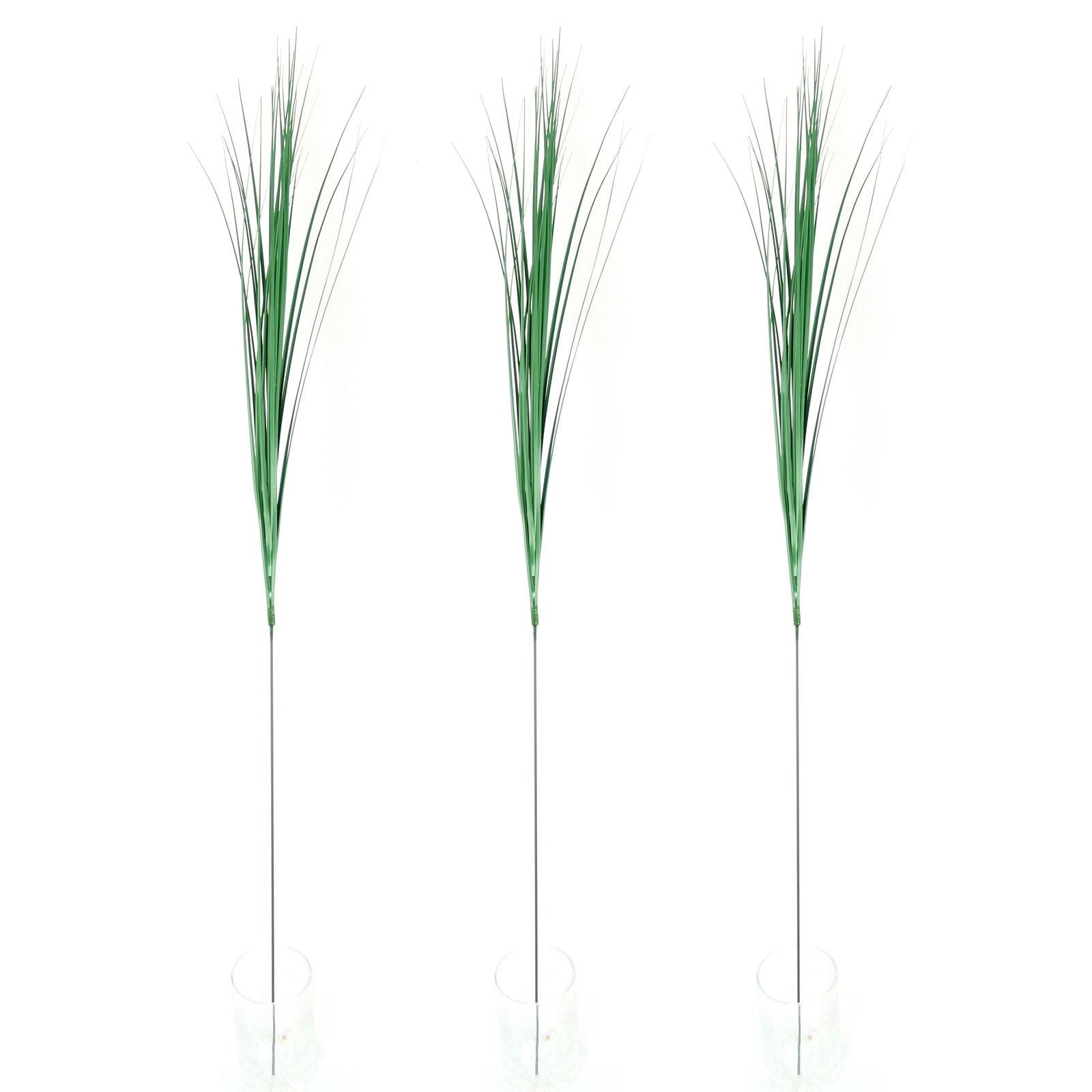 Bear Grass Spray